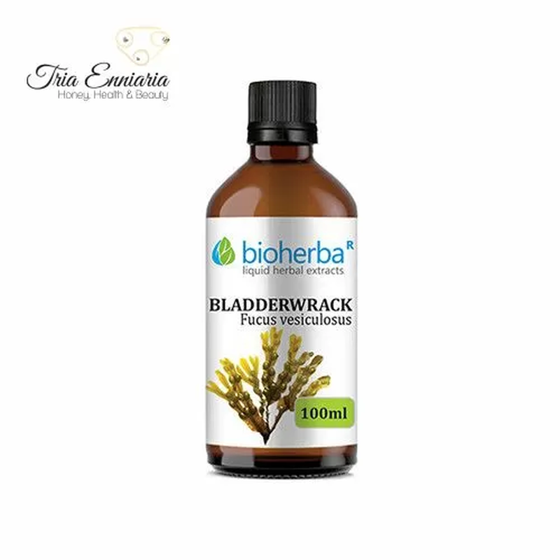 Product image: Bladderwrack tincture, 100 ml, bioherba, , medium-null