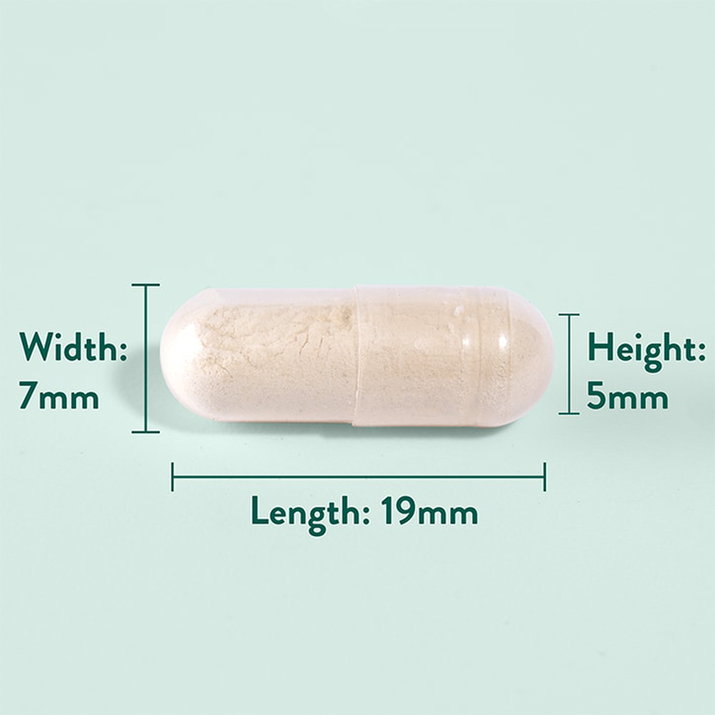 Holland & barrett green lipped mussel 120 capsules-null