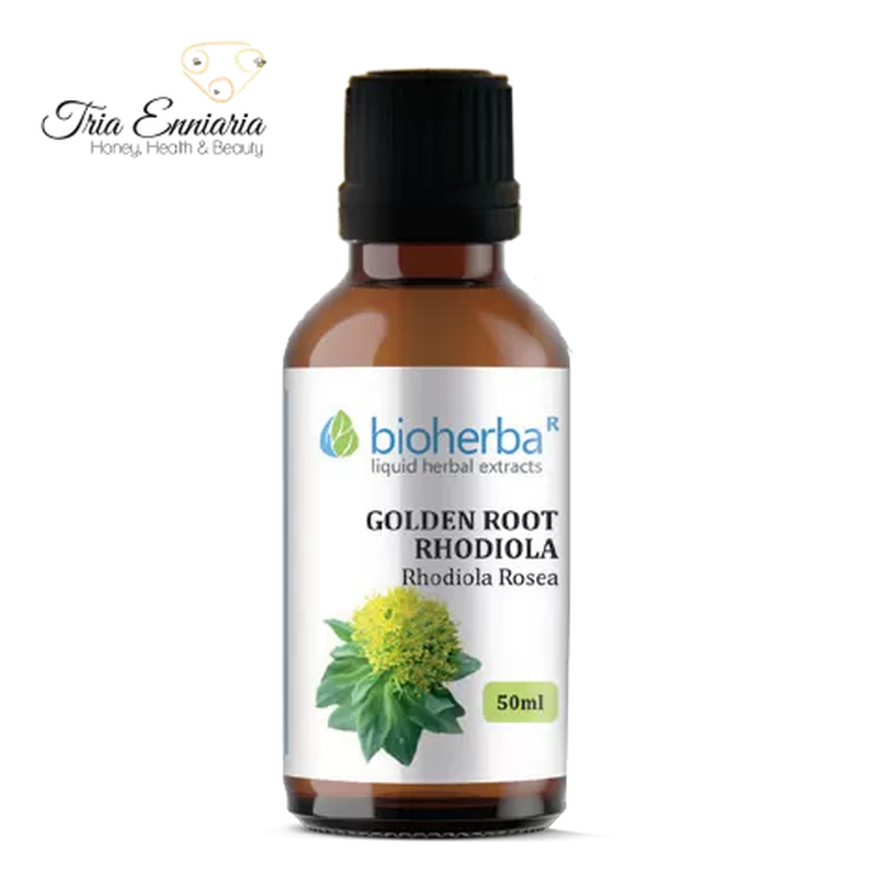 Golden root rhodiola  50ml , bioherba, , medium-null