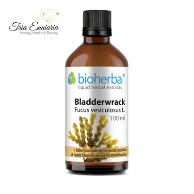 Bladderwrack tincture, 100 ml, bioherba