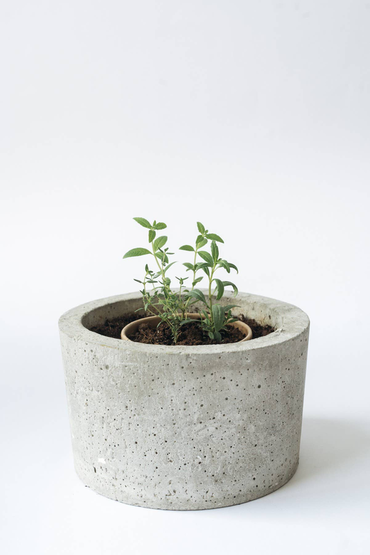 Christmas herbal tea blend - drink it, plant it, , medium-null