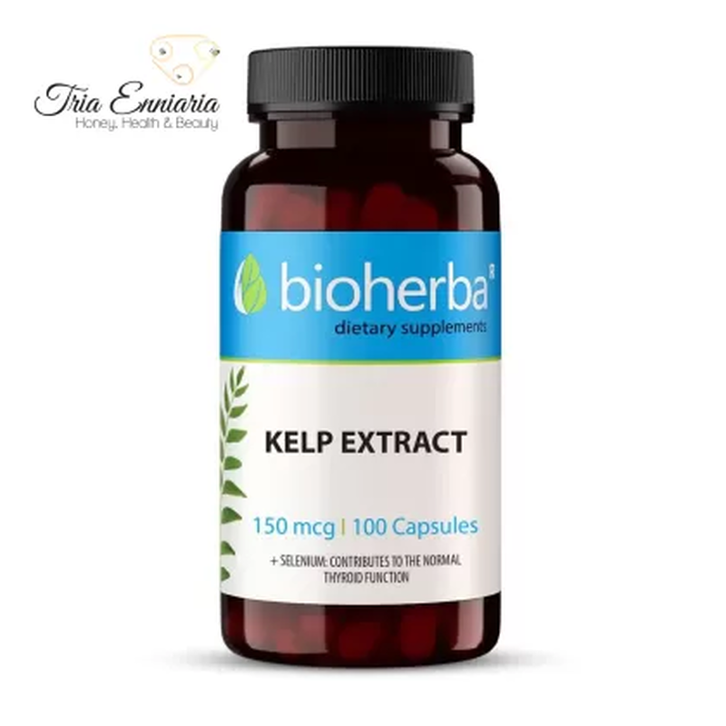 Kelp extract, 150 mcg, 100 capsules, bioherba, , medium-null