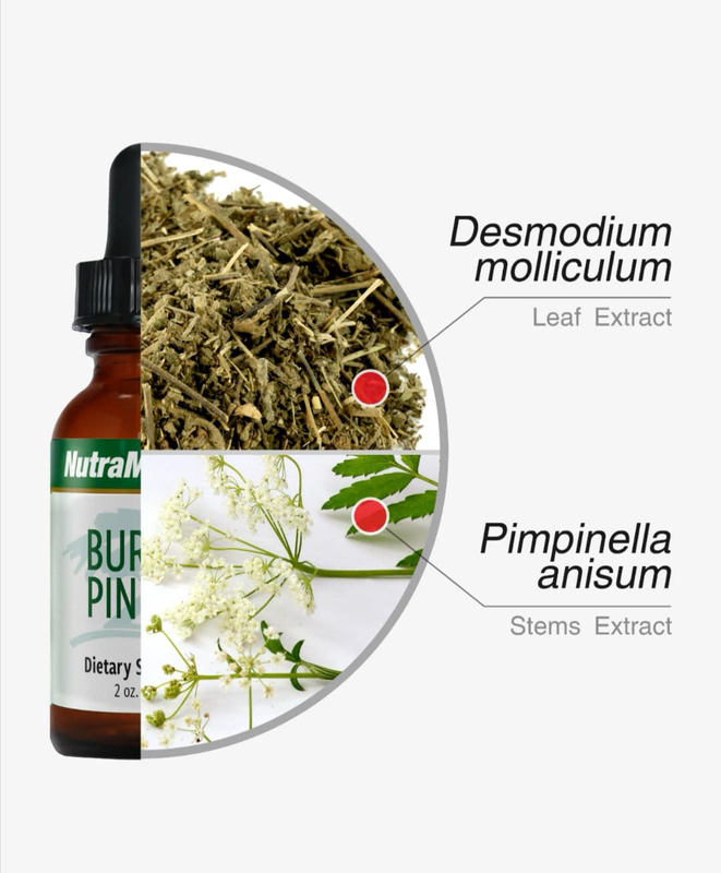 Nutramedix, burbur-pinella detox/brain - nerve cleanse, 60ml, , medium-null