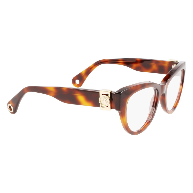 Brown acetate glasses (frames)-null
