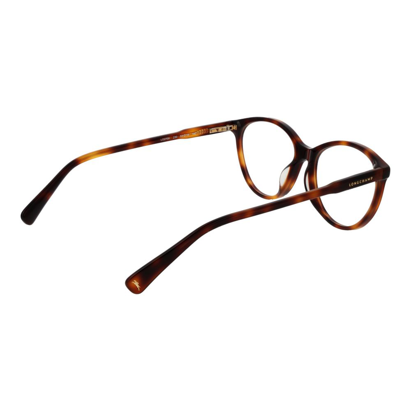 Brown acetate glasses (frames)-null