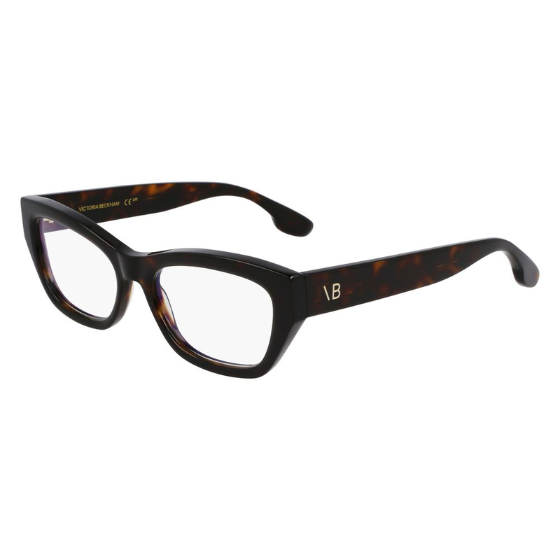 Brown acetate glasses (frames)-null