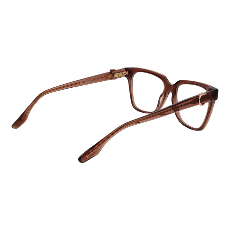 Brown acetate glasses (frames)-null