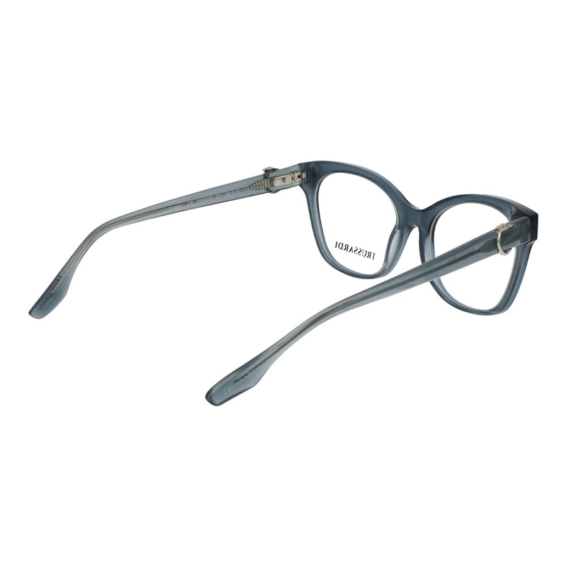 Blue acetate glasses (frames)-null