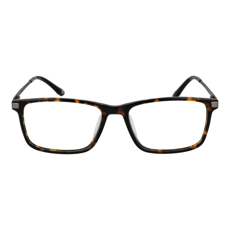 Brown titanium glasses (frames)-null