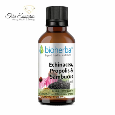 Echinacea, propolis and elderberry tincture, 50 ml, bioherba, , medium