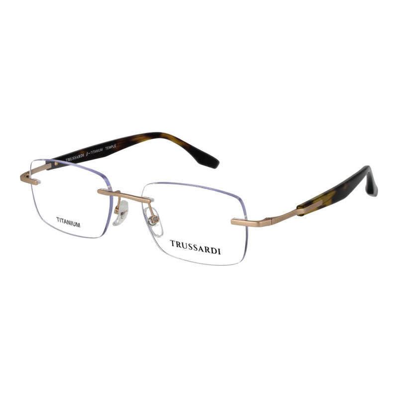 Gold stainless steel glasses (frames)-null