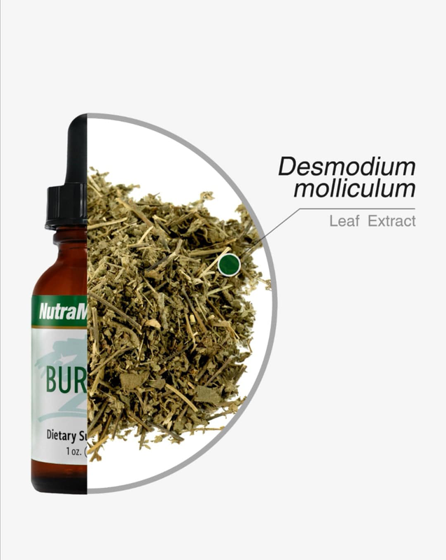 Product image: Nutramedix, burbur - detox, , medium-null