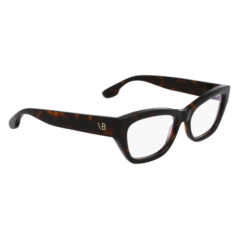 Brown acetate glasses (frames)-null