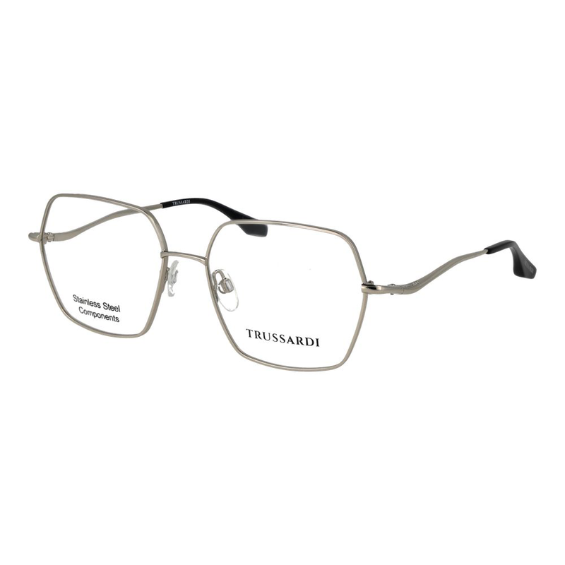Silver stainless steel glasses (frames)-null