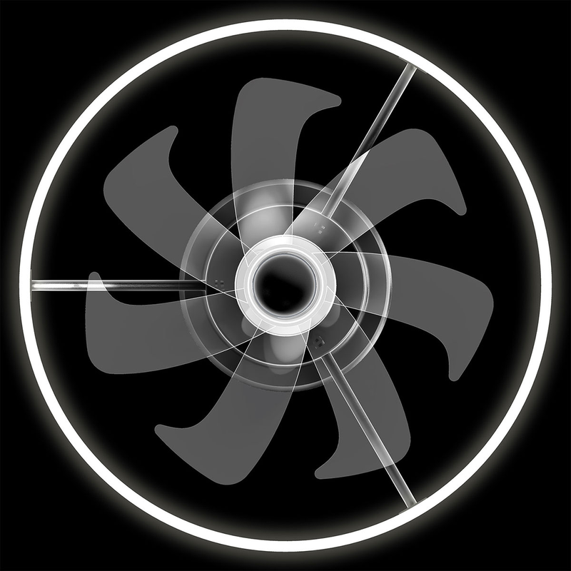 Product image: Halo, , medium-null