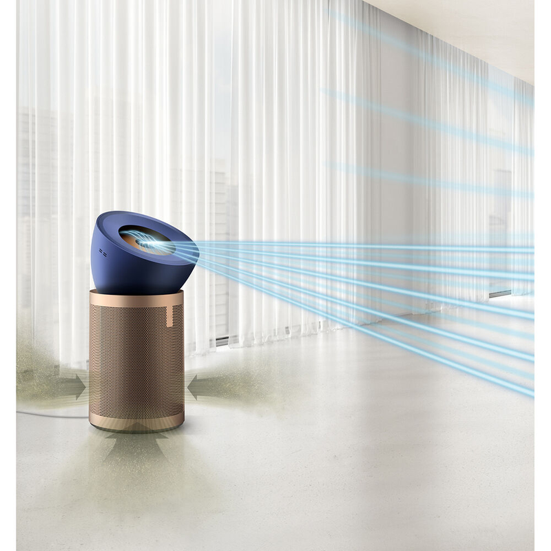 Bp04 purifier big+quiet formaldehyde prussian blue/gold-null