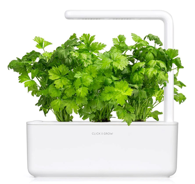 Click & grow sgr97x3 leaf celery plant pods 3pcs
