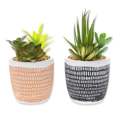Ai succulent plant in cement pot 9x13cm (1pcs random selection), , medium