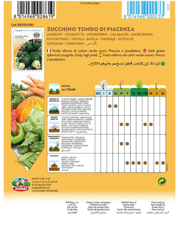 Zorzi bsozuc003 kolokithaki mavro, , medium-null