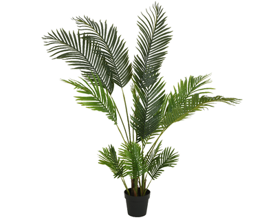 Palm tree in pot, , medium