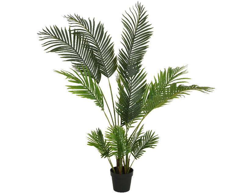 Palm tree in pot, , medium-null