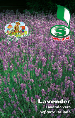 Hb levanda italiana 2gr, , medium