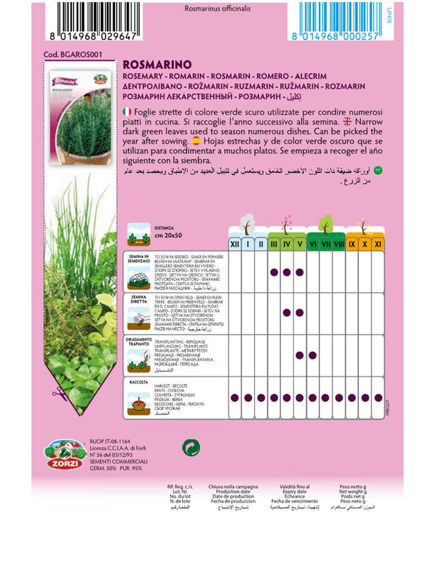 Zorzi bgaros001 rosemary, , medium-null