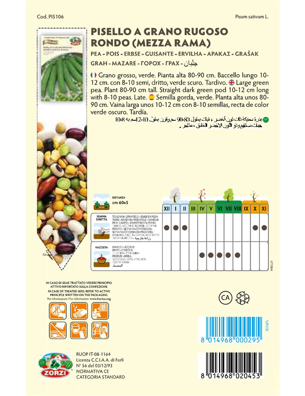 Zorzi pis1030TB 250gr mpizeli, , medium-null
