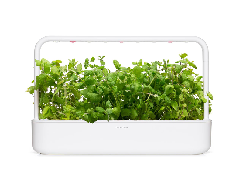 Click & grow sgr79x3 apple mint plant pods 3pcs, , medium image number null