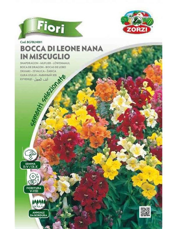 Zorzi bgfbln001 skilaki xamilo, , medium-null