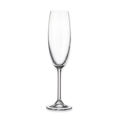 Crystal bohemia colibri champagne glass - 220ml - 6 pcs set