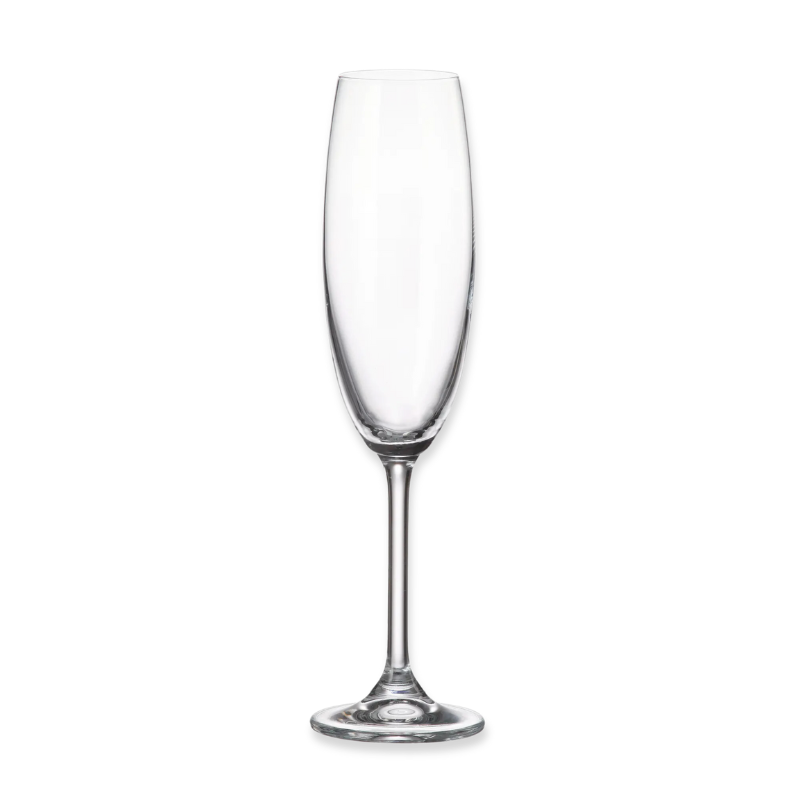 Crystal bohemia colibri champagne glass - 220ml - 6 pcs set image number null