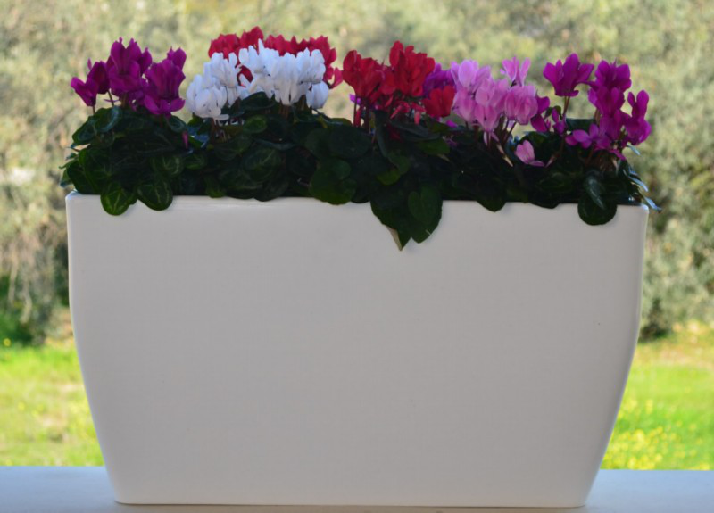 Top roto hermes rotary rectangular pot 60x30x34 stone, , medium-null