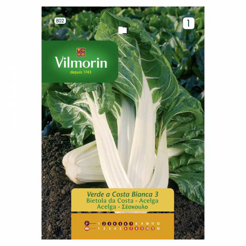 Vilmorin swiss chard 5gr, , medium image number null
