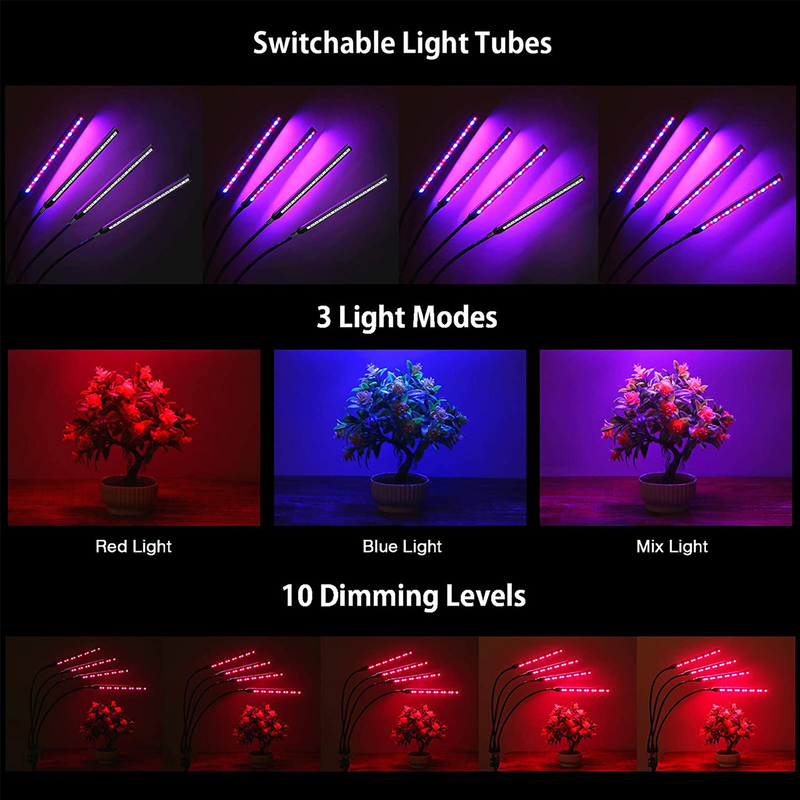 Product image: Globostar® gls-85956, , medium-null