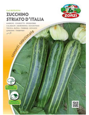 Zorzi bsozuc016 kolokithaki, , medium