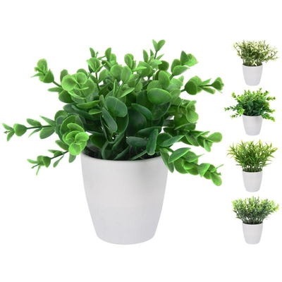 Decorative plant in white round pot - assorted designs, , medium