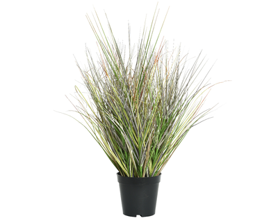 Grass in pot, , medium