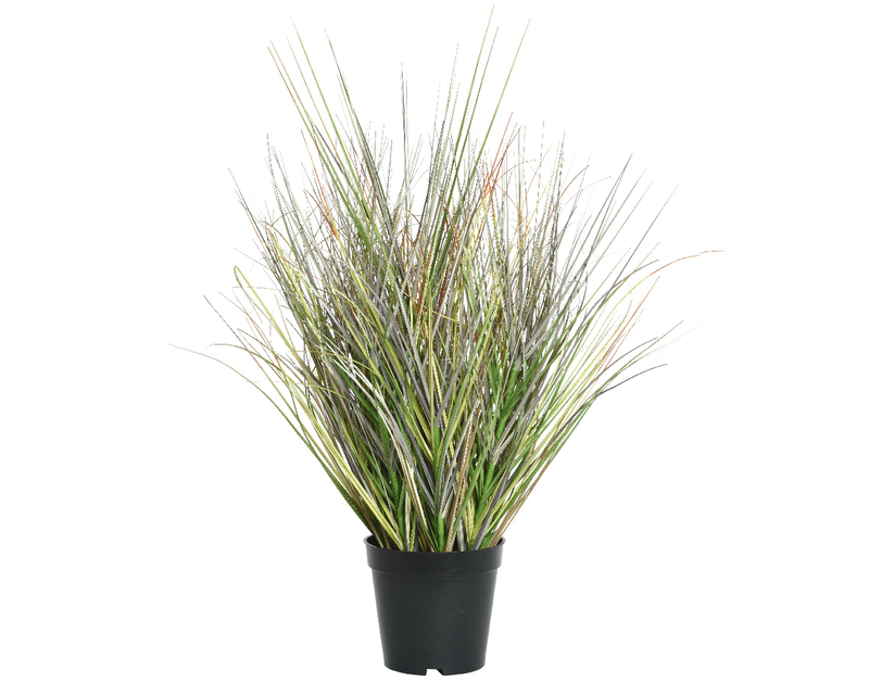 Product image: Grass in pot, , medium-null
