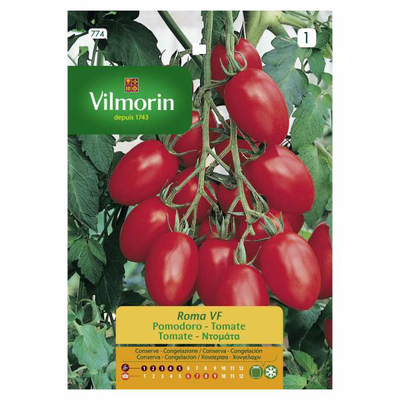 Vilmorin tomato roma, , medium