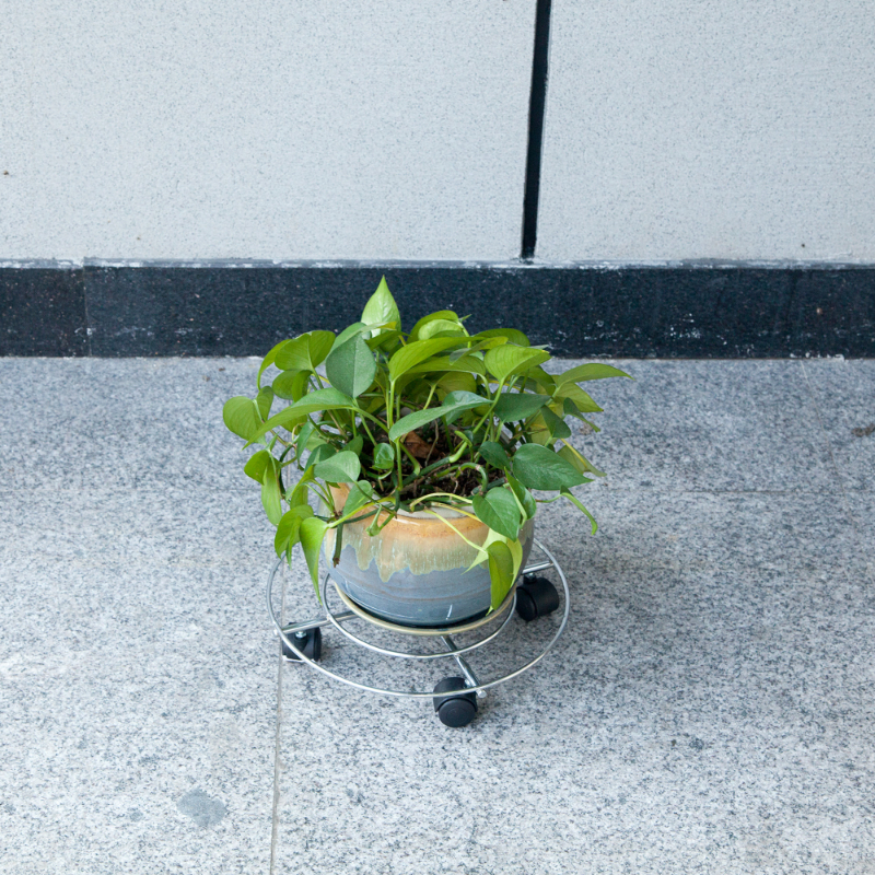 Diall metal plant pot mover max 60kg, , medium-null