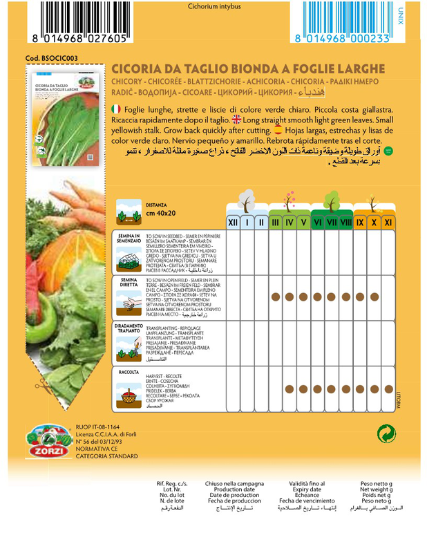 Zorzi bsocic003 lapato, , medium-null