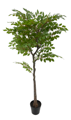 Iocust tree 150cm