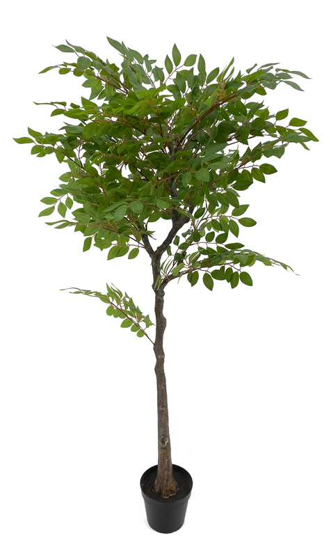 Iocust tree 150cm, , medium image number null