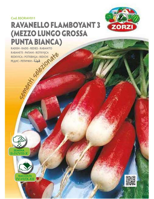 Zorzi bsorav011 repanaki dixromo, , medium