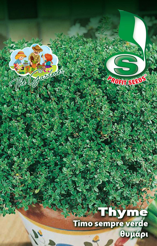 Product image: Hb θυμαρι 1gr, , medium-null