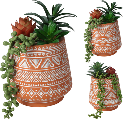 Plant in cement pot 15cm 2 assorted designs, , medium