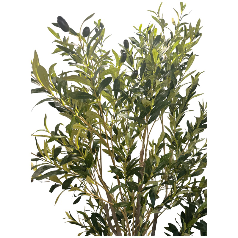 Olive tree - 190 cm, , medium image number null