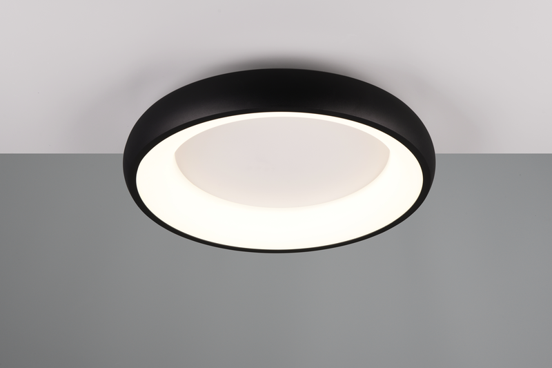 CARDONA, , medium-null