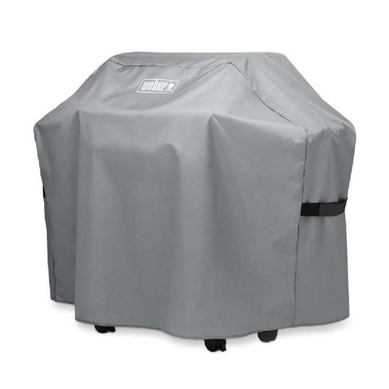 Product image: Spirit 300 & spirit II 200/300 & Genesis II 210, , medium-null